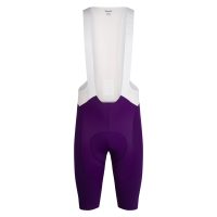 Rapha Men's Pro Team Bib Shorts III - Long